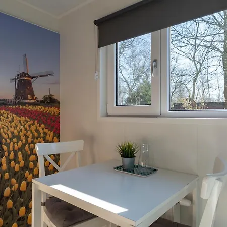 Chalet Studio Aqua - Campanula - Sint Maartenszee